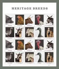 2021 new heritage breeds usps forever postage stamps Sheets of 20