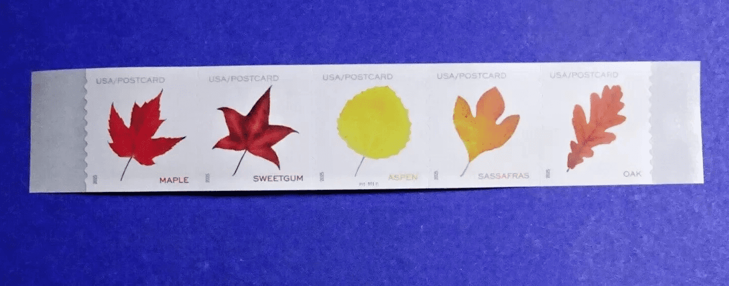 2025 Vibrant Leaves Postcard Stamps roll of 100