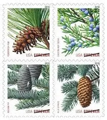 2009 USPS Holiday Evergreens First Class Stamp Sheets of 20