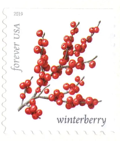 2019 USPS Winter Berries Forever Stamps Sheets of 20
