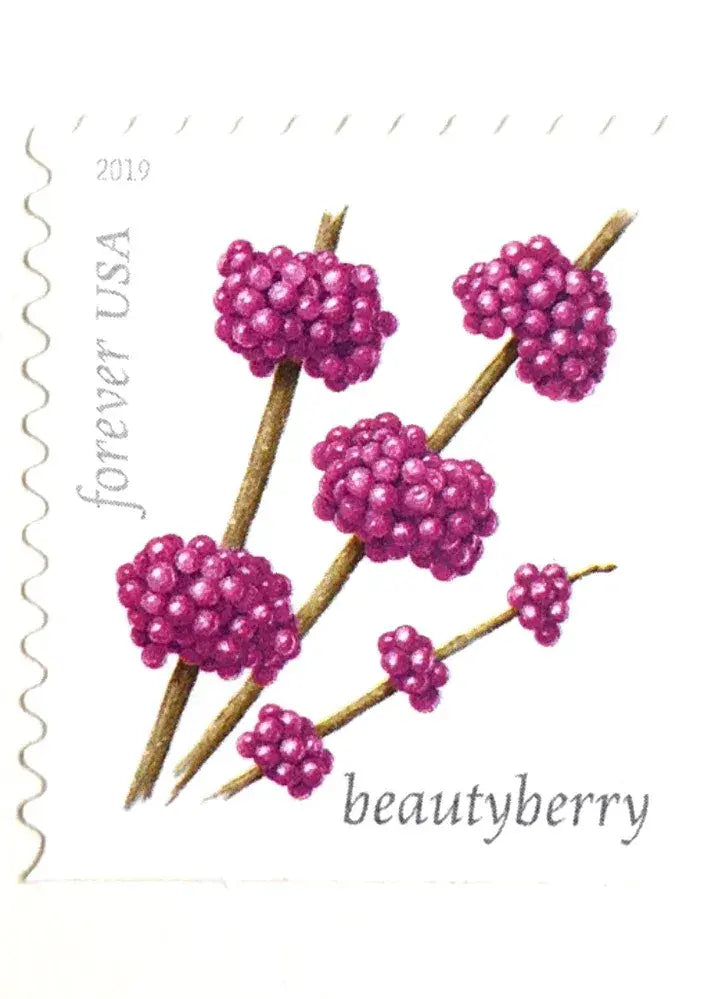 2019 USPS Winter Berries Forever Stamps Sheets of 20