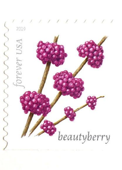 2019 USPS Winter Berries Forever Stamps Sheets of 20
