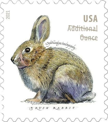2021 USPS Brush Rabbit Forever Stamp Sheets of 20