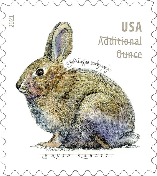2021 USPS Brush Rabbit Forever Stamp Sheets of 20