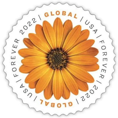 2022 USPS Global Forever African Daisy Stamp Sheets of 10
