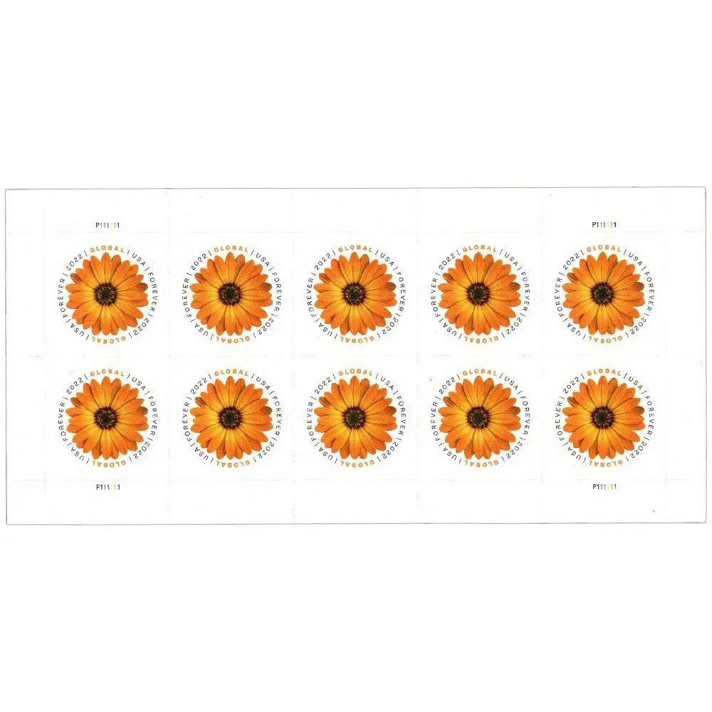 2022 USPS Global Forever African Daisy Stamp Sheets of 10