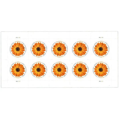 2022 USPS Global Forever African Daisy Stamp Sheets of 10