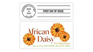 2022 USPS Global Forever African Daisy Stamp Sheets of 10
