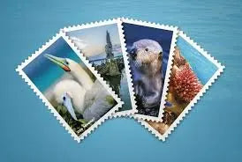 2022  USPS  National  Marine  Sanctuaries  Forever  Stamps Sheets of 16