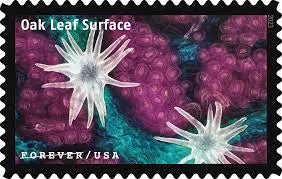2023 USPS Life Magnified Forever Stamp Sheets of 20