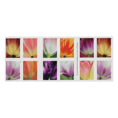 2023 USPS Tulip Blossoms Forever Stamp Sheets of 20