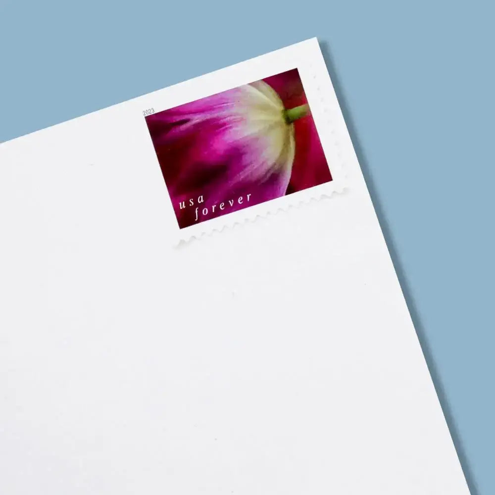 2023 USPS Tulip Blossoms Forever Stamp Sheets of 20