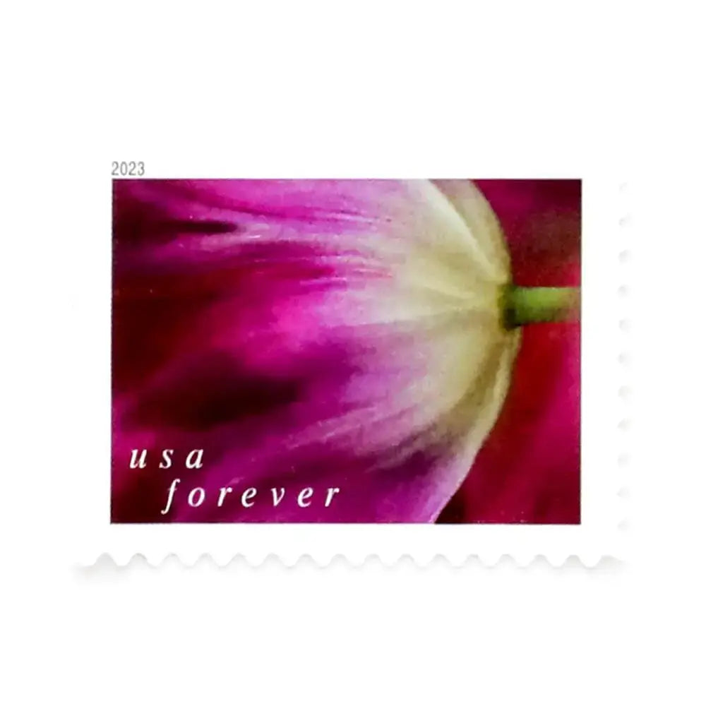 2023 USPS Tulip Blossoms Forever Stamp Sheets of 20