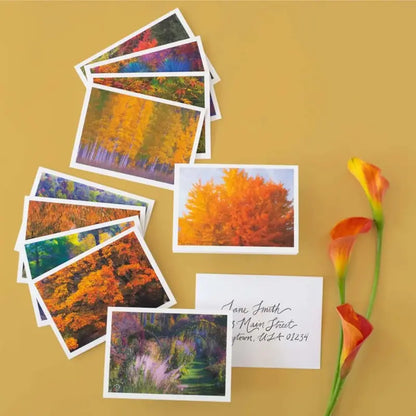 2024 USPS Autumn Colors Forever Stamps Sheets of 20