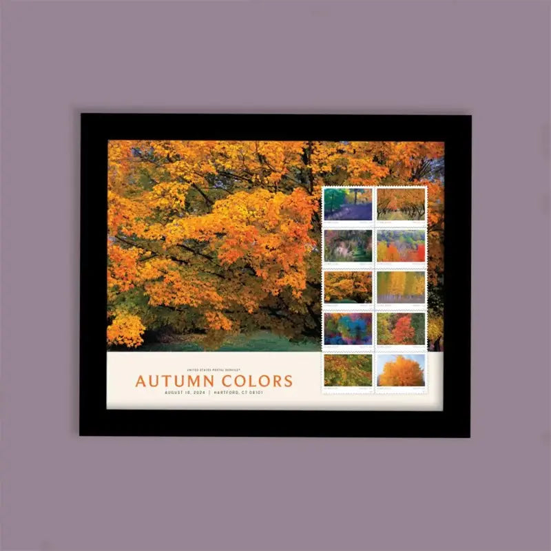 2024 USPS Autumn Colors Forever Stamps Sheets of 20