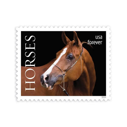2024 Horses Stamps forever stamps Sheets of 20