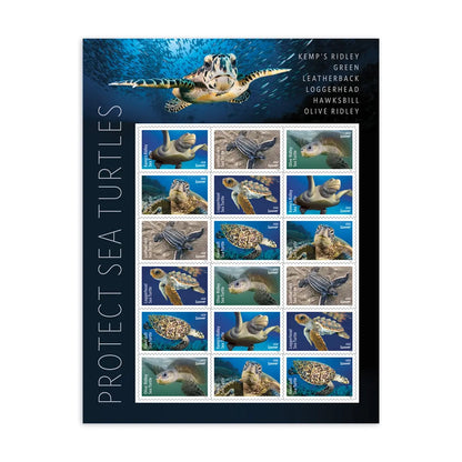 2024 Protect Sea Turtles Stamps Sheets of 18