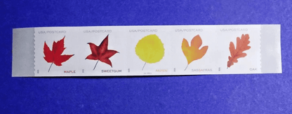 2025 Vibrant Leaves Postcard Stamps roll of 100