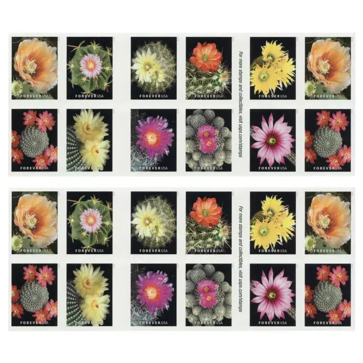 2019 Cactus Flowers Forever First Class Postage US Stamps Sheets of 20