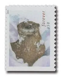 2021  Otters in Snow Forever Postage US Stamps Sheets of 20
