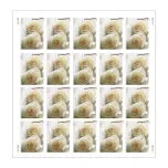 2011 US Wedding Roses Commemorative Forever  US Stamps Sheets of 20